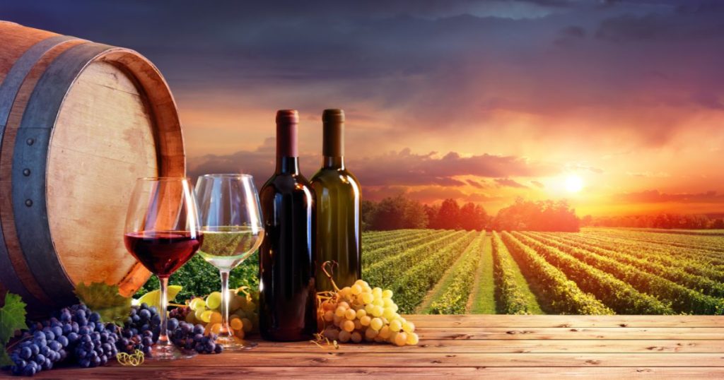 Best Wineries in Massachusetts