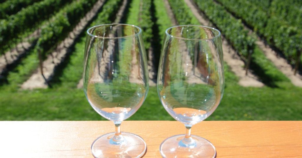 Wine Pairing Tips from Best Wineries in Massachusetts